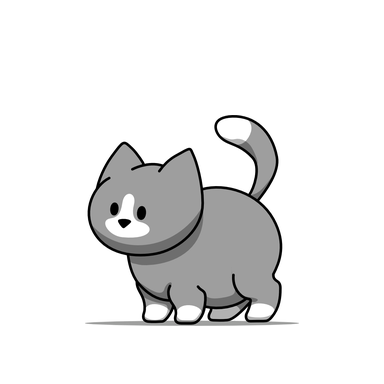 灰色猫咪访客